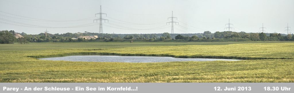 Hochwasser- 2013_06_12-005-Parey-Schleuse.jpg